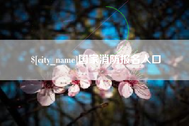 沈丘国家消防报名入口