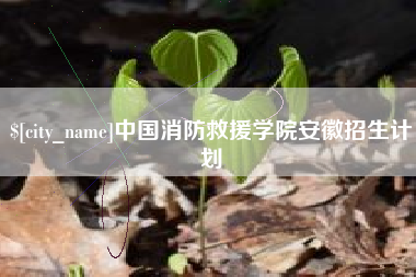 沈丘中国消防救援学院安徽招生计划