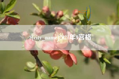 沈丘2021年9宫格