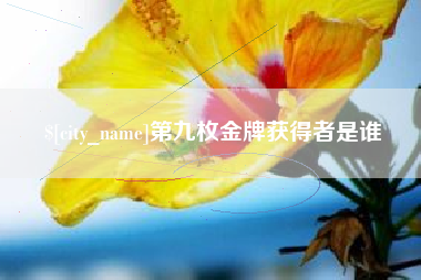 沈丘第九枚金牌获得者是谁