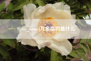 沈丘九金指的是什么