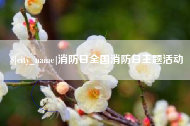 沈丘消防日全国消防日主题活动