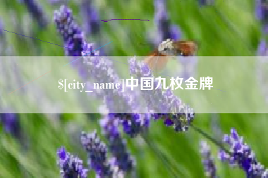 沈丘中国九枚金牌