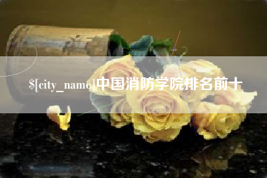 沈丘中国消防学院排名前十