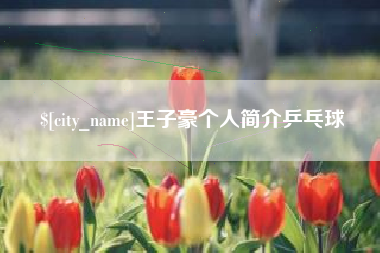 沈丘王子豪个人简介乒乓球