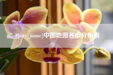 沈丘中国地图各市分布图