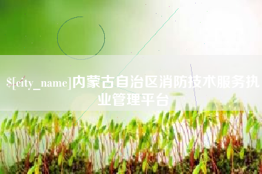 沈丘内蒙古自治区消防技术服务执业管理平台