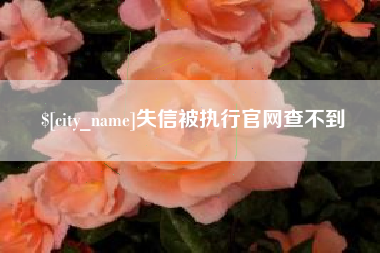 沈丘失信被执行官网查不到