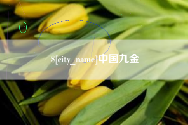 沈丘中国九金
