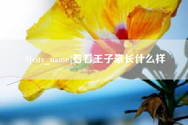 沈丘看看王子豪长什么样