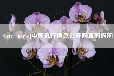 沈丘中国执行信息公开网真的假的