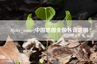 沈丘中国地图全图各省地图