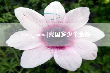 沈丘我国多少个金牌