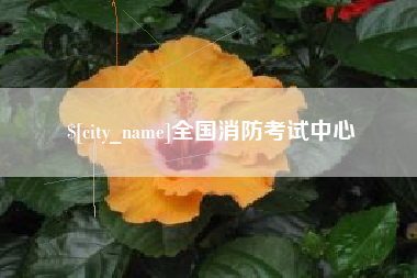 沈丘全国消防考试中心