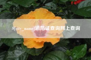 沈丘消防证查询网上查询