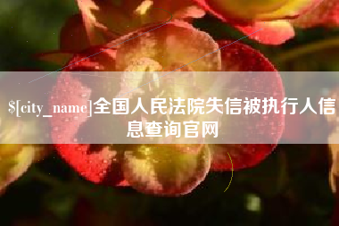 沈丘全国人民法院失信被执行人信息查询官网