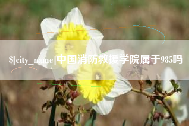 沈丘中国消防救援学院属于985吗