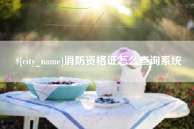 沈丘消防资格证怎么查询系统