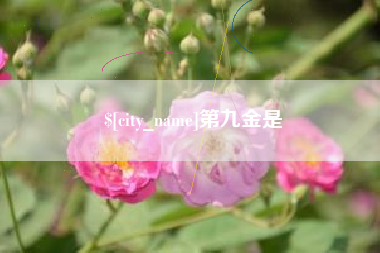 沈丘第九金是