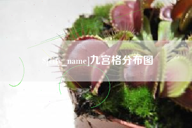 沈丘九宫格分布图