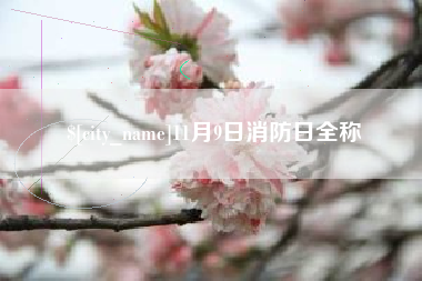 沈丘11月9日消防日全称