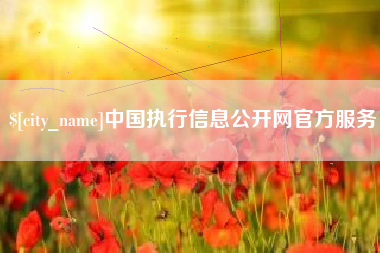沈丘中国执行信息公开网官方服务