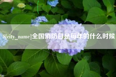 沈丘全国消防日是每年的什么时候