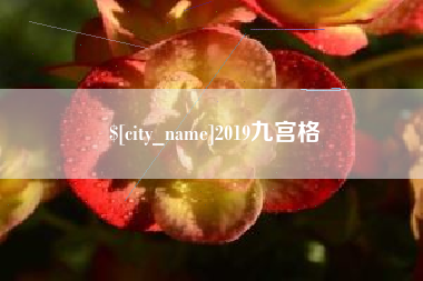 沈丘2019九宫格