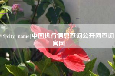 沈丘中国执行信息查询公开网查询官网