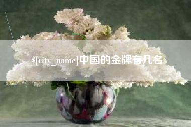 沈丘中国的金牌有几名