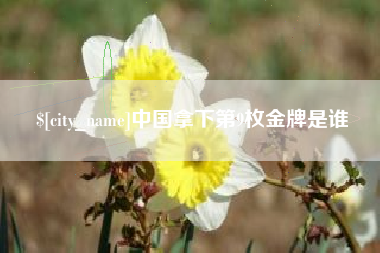 沈丘中国拿下第9枚金牌是谁