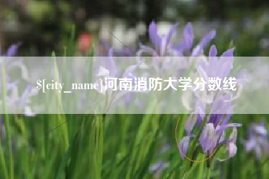 沈丘河南消防大学分数线