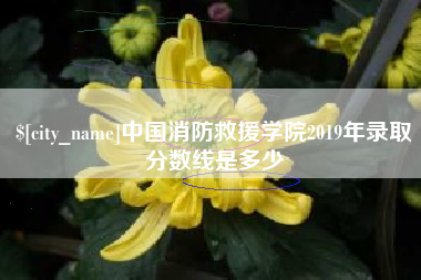 沈丘中国消防救援学院2019年录取分数线是多少