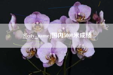 沈丘国内5000米成绩