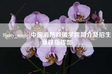 沈丘中国消防救援学院简介及招生章程指挥部