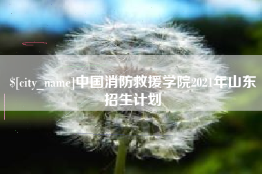 沈丘中国消防救援学院2021年山东招生计划