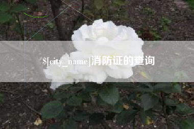 沈丘消防证的查询