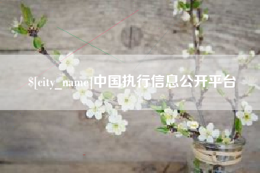 沈丘中国执行信息公开平台