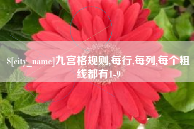 沈丘九宫格规则,每行,每列,每个粗线都有1-9
