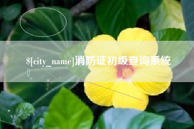 沈丘消防证初级查询系统