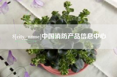 沈丘中国消防产品信息中心
