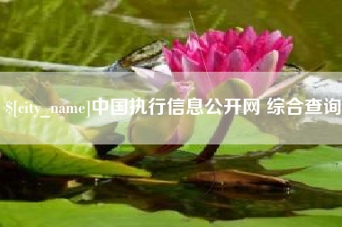 沈丘中国执行信息公开网 综合查询