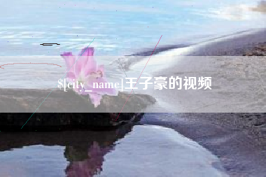 沈丘王子豪的视频