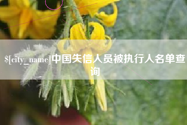 沈丘中国失信人员被执行人名单查询