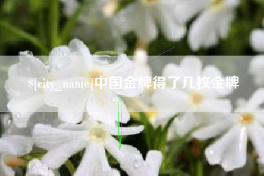 沈丘中国金牌得了几枚金牌