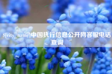 沈丘中国执行信息公开网客服电话查询