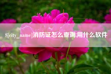 沈丘消防证怎么查询,用什么软件