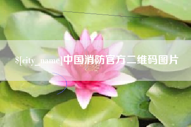 沈丘中国消防官方二维码图片