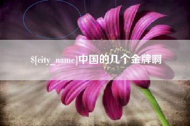 沈丘中国的几个金牌啊