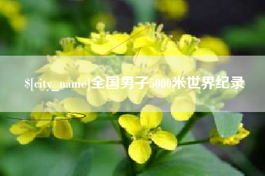 沈丘全国男子5000米世界纪录